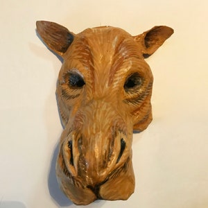 Maschera di cammello, maschera animale, cartapesta, indossabile, costume, maschera