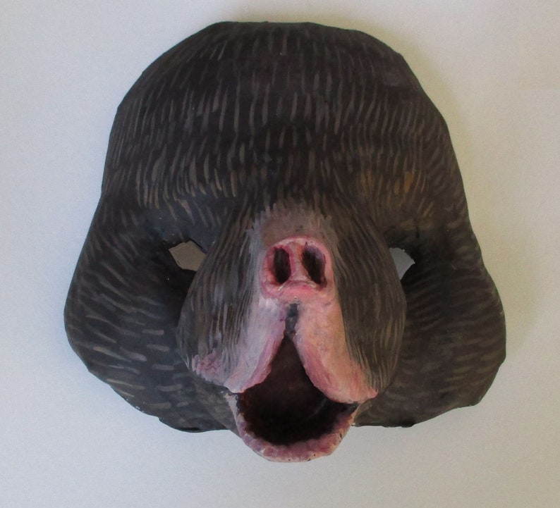 Masque taupe, wearable, papier mâché, masque animal, chaîne de moisissure, taupe image 1