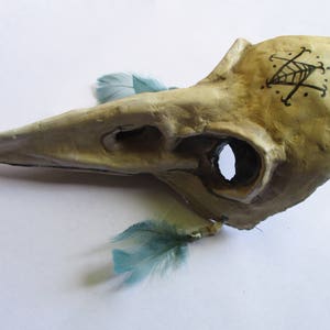 Voodoo Bird Skull Mask, witchcraft, voodoo, paper mache, wearable
