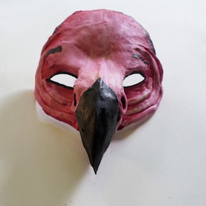 Vulture Mask, Lappet faced vulture, paper mache, wearable, bird half mask