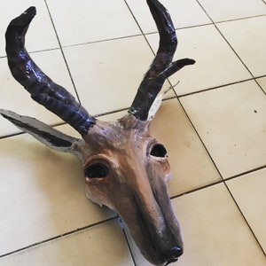 Antelope Mask , Pronghorn antelope, Prairie antelope, mammal, paper mache, animal mask