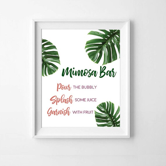 air plants Mystery Air Plants, 5-Pack – Hey Rooted main image 1