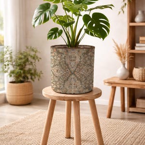 Könnte beinhalten: Eine leuchtend grüne Monstera-Pflanze mit großen, geschlitzten Blättern in einem zylindrischen Stoffübertopf. Der Übertopf zeigt ein detailliertes, florales und geometrisches Muster in Salbeigrün, Beige und sanftem Orange mit braunem Rand.