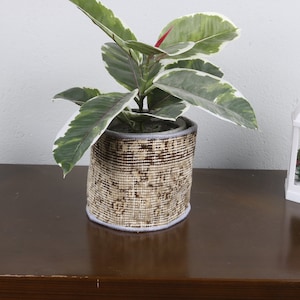 May include: A potted plant with variegated leaves in a brown and white patterned fabric pot. The pot is sitting on a brown wooden surface.