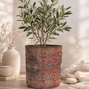 May include: A cylindrical plant pot featuring a vibrant red base color with intricate geometric patterns in shades of blue, white, and brown. The pot contains a small green olive tree with slender leaves, standing upright as a decorative indoor plant.