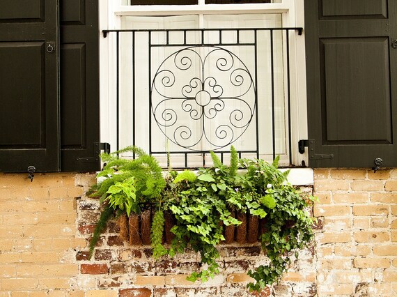 Charleston Photography Charleston Sc Charleston Photo Etsy