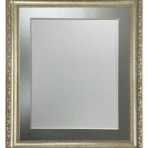 May include: A rectangular picture frame featuring an ornate, metallic silver and gold-toned outer border with a decorative leaf pattern. The frame includes a wide, smooth, matte silver inner matting surrounding a plain white rectangular centre.