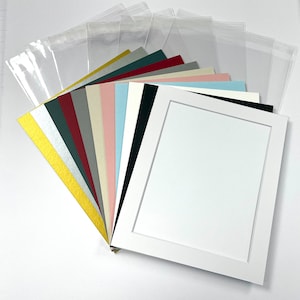 May include: A selection of coloured cardstock sheets and clear plastic bags. The cardstock sheets are in gold, silver, green, red, grey, beige, pink, light blue, white, and black. The plastic bags are clear and have a seal at the top.