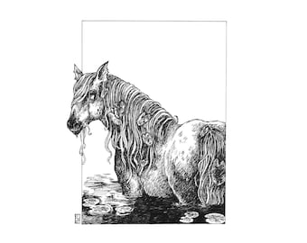 Fine Art Print / Folklore and Fairytales / Fantasy Artwork: Brook Horse