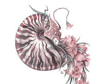 Limited Edition Fine Art Print / Traditional Art / Fantasy /Ink Drawing: