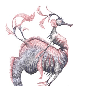 Limited Edition Fine Art Print / Traditional Art / Fantasy /Ink Drawing: Sea Dragon