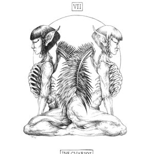 Impresión de Bellas Artes / Inktober 2017 / Arte del Tarot: El Carro