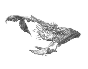 Fine Art Print / Folklore and Fairytales / Fantasy: Bake-Kujira