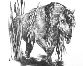 Fine Art Print / Folklore and Fairytales / Fantasy Artwork: Kelpie