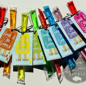 Have a Cool Summer Freeze Pop Freezer Ice Pops Printable Tags For End of the School Year Gifts in 8 Rainbow Colors - Stay Cool