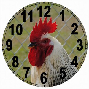 May include: A white rooster with a red comb and wattle is featured on a round clock face with black numbers 1 through 12. The rooster's head is turned to the left, and its eye is visible. The clock face is surrounded by a brown and green background.