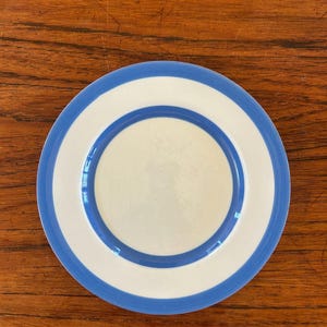 Puede incluir: Un plato redondo blanco con un borde azul y un anillo interior azul. El plato está sobre una superficie de madera oscura. El diseño es simple y elegante.