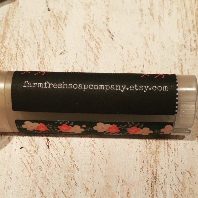 Pony Kisses Mantequilla labial, Regalo amante de los caballos, Bálsamo labial, Chapstick de caballo, Labio vegano, Bálsamo labial natural, Orgánico imagen 5