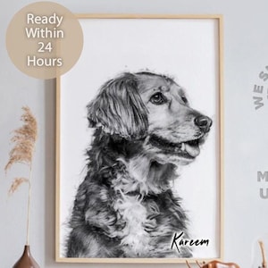 Pet Portrait, Dog Mom, Dog Portrait, Gifts For Him, Custom Pet Portrait, Digital Art, Pet Gift, Custom Dog Portrait, Pet Lovers, Pets