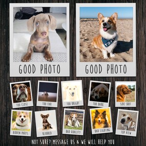 Puede incluir: Dos fotos de perros, un dachshund y un corgi, con un collage de fotos debajo que muestra ejemplos de fotos buenas y malas para retratos de mascotas. El collage incluye fotos que est&aacute;n demasiado cerca, demasiado lejos, demasiado brillantes, demasiado oscuras, un plano lateral, una parte oculta, borrosa, de mala calidad, con mala iluminaci&oacute;n y una vista superior.