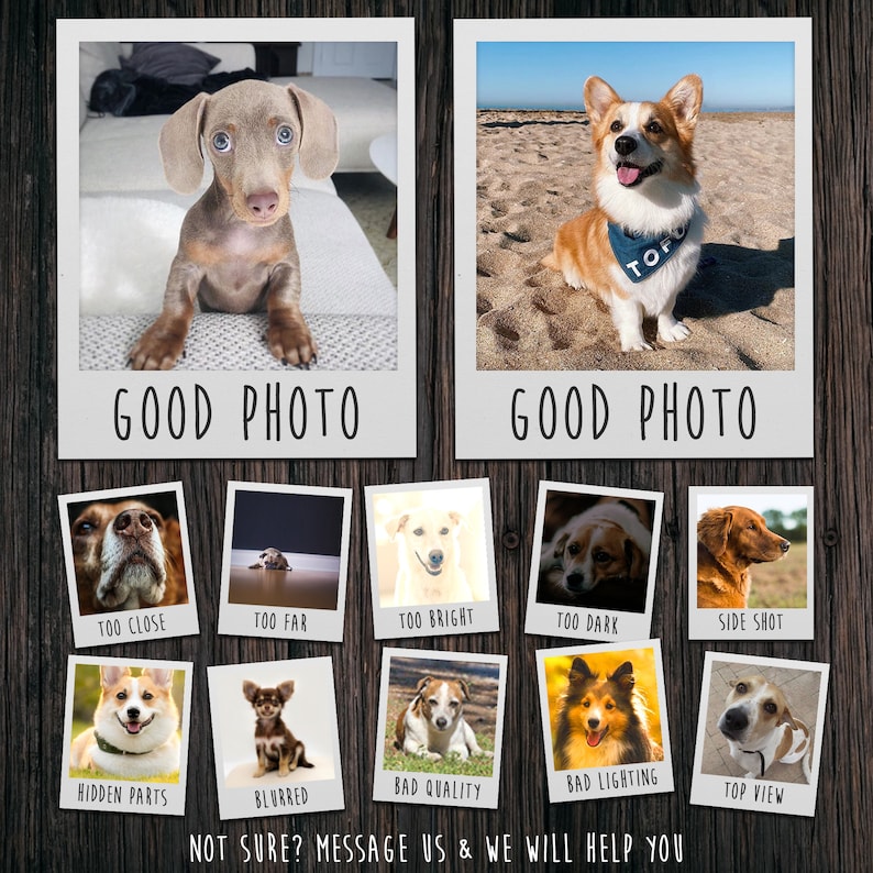 Puede incluir: Dos fotos de perros, un dachshund y un corgi, con un collage de fotos debajo que muestra ejemplos de fotos buenas y malas para retratos de mascotas. El collage incluye fotos que est&aacute;n demasiado cerca, demasiado lejos, demasiado brillantes, demasiado oscuras, un plano lateral, una parte oculta, borrosa, de mala calidad, con mala iluminaci&oacute;n y una vista superior.