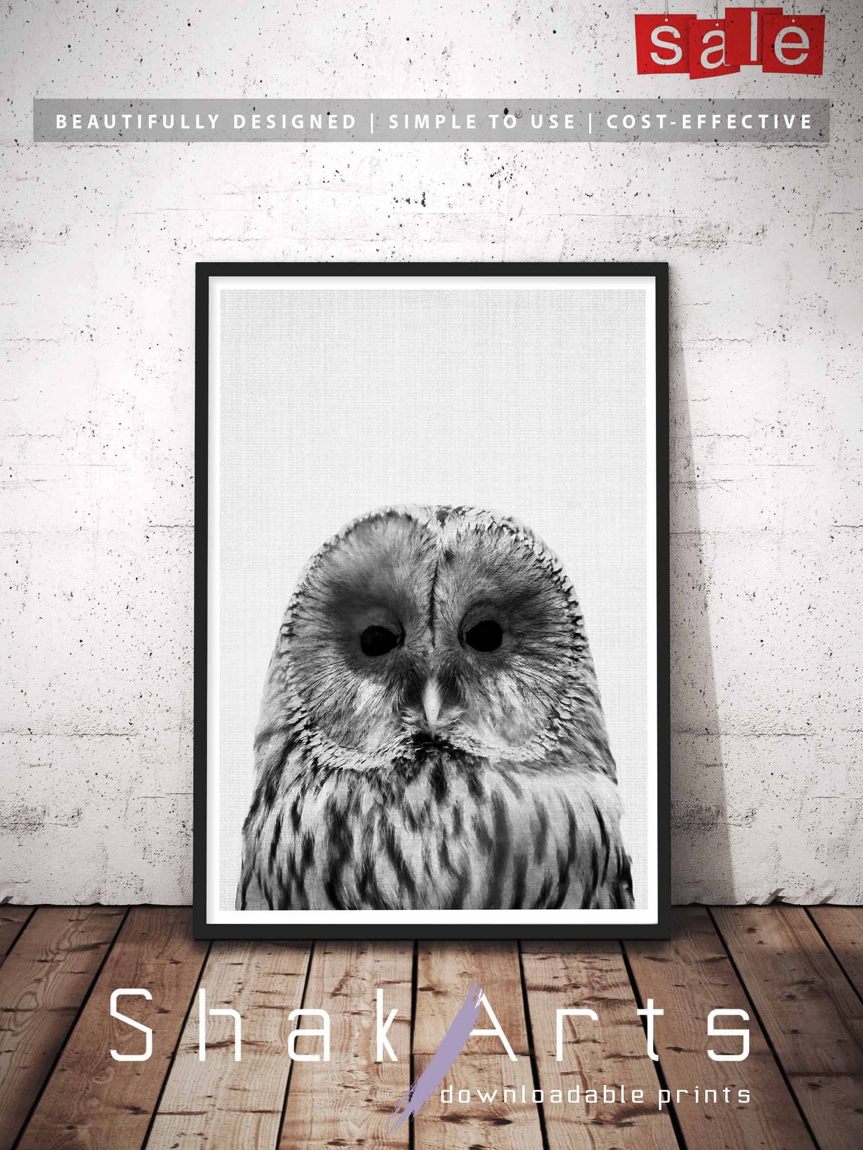 Owl Wall Art Bathroom Funny Decor Nursery Wall Art Baby  Etsy