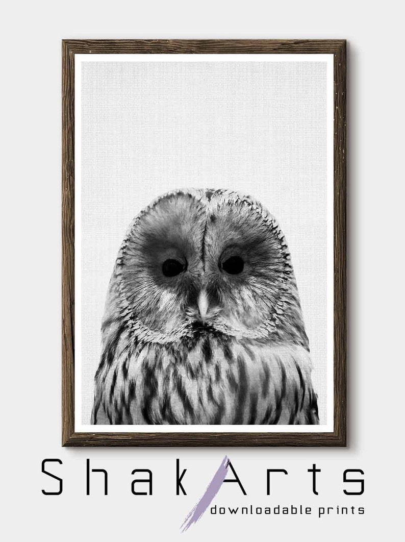 Owl Wall Art Bathroom Funny Decor Nursery Wall Art Baby Etsy