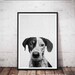 Pet Loss Gifts, Pet Portrait Digital, Pet Memorial Gift, Dog Sympathy Gift, Dog Mum, Pet Lover Gift, Dog Portrait, Custom Dog Print, For Her 