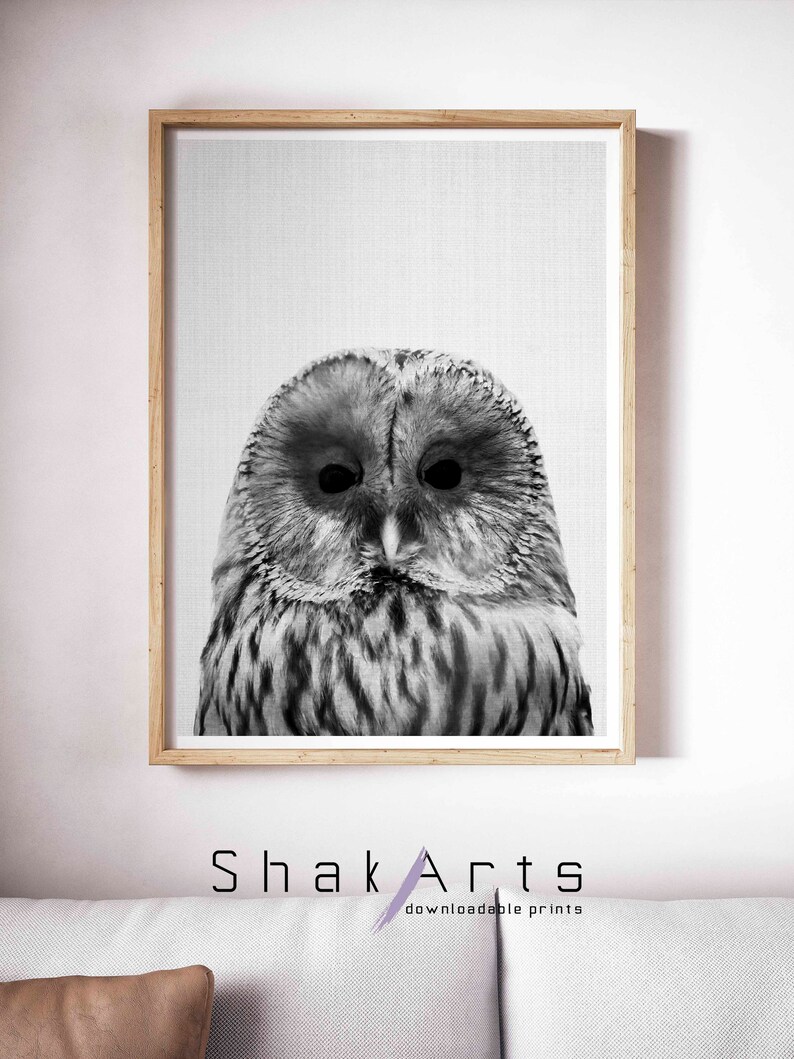 Owl Wall Art Bathroom Funny Decor Nursery Wall Art Baby Etsy