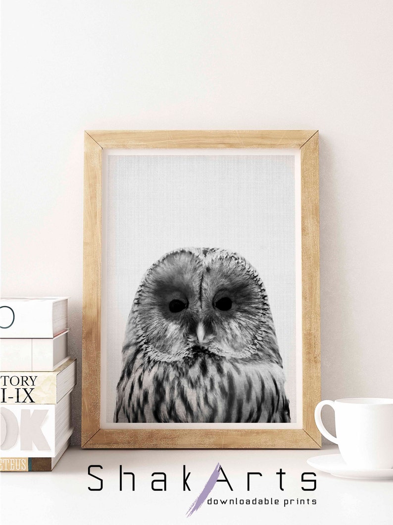 Owl Wall Art Bathroom Funny Decor Nursery Wall Art Baby Etsy