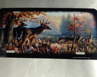 Deer in Autumn License Plate LP2117