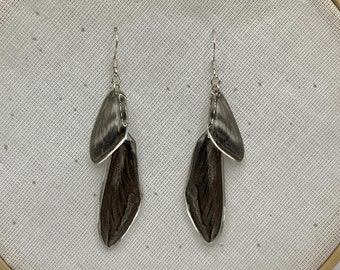 Moth wing earrings