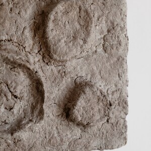 Puede incluir: Una obra de arte rectangular gris y texturizada con formas redondeadas en relieve. La superficie tiene un aspecto rugoso y org&aacute;nico, con grietas e imperfecciones visibles. La pieza est&aacute; montada en una pared blanca.