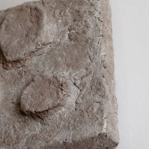 Puede incluir: Primer plano de una pieza de arte rectangular, texturizada, gris-marr&oacute;n. La superficie tiene una textura rugosa e irregular con formas redondeadas y elevadas. La obra de arte est&aacute; sobre un fondo blanco.