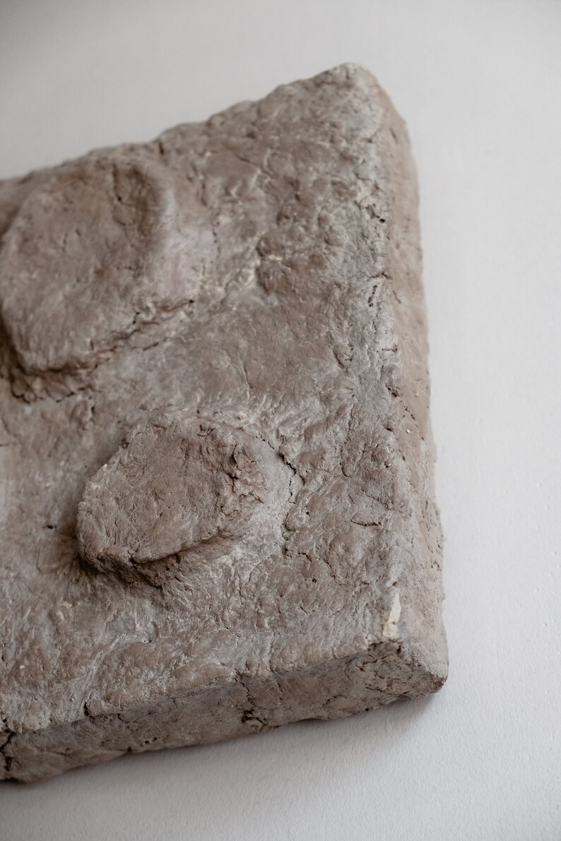 Puede incluir: Primer plano de una pieza de arte rectangular, texturizada, gris-marr&oacute;n. La superficie tiene una textura rugosa e irregular con formas redondeadas y elevadas. La obra de arte est&aacute; sobre un fondo blanco.