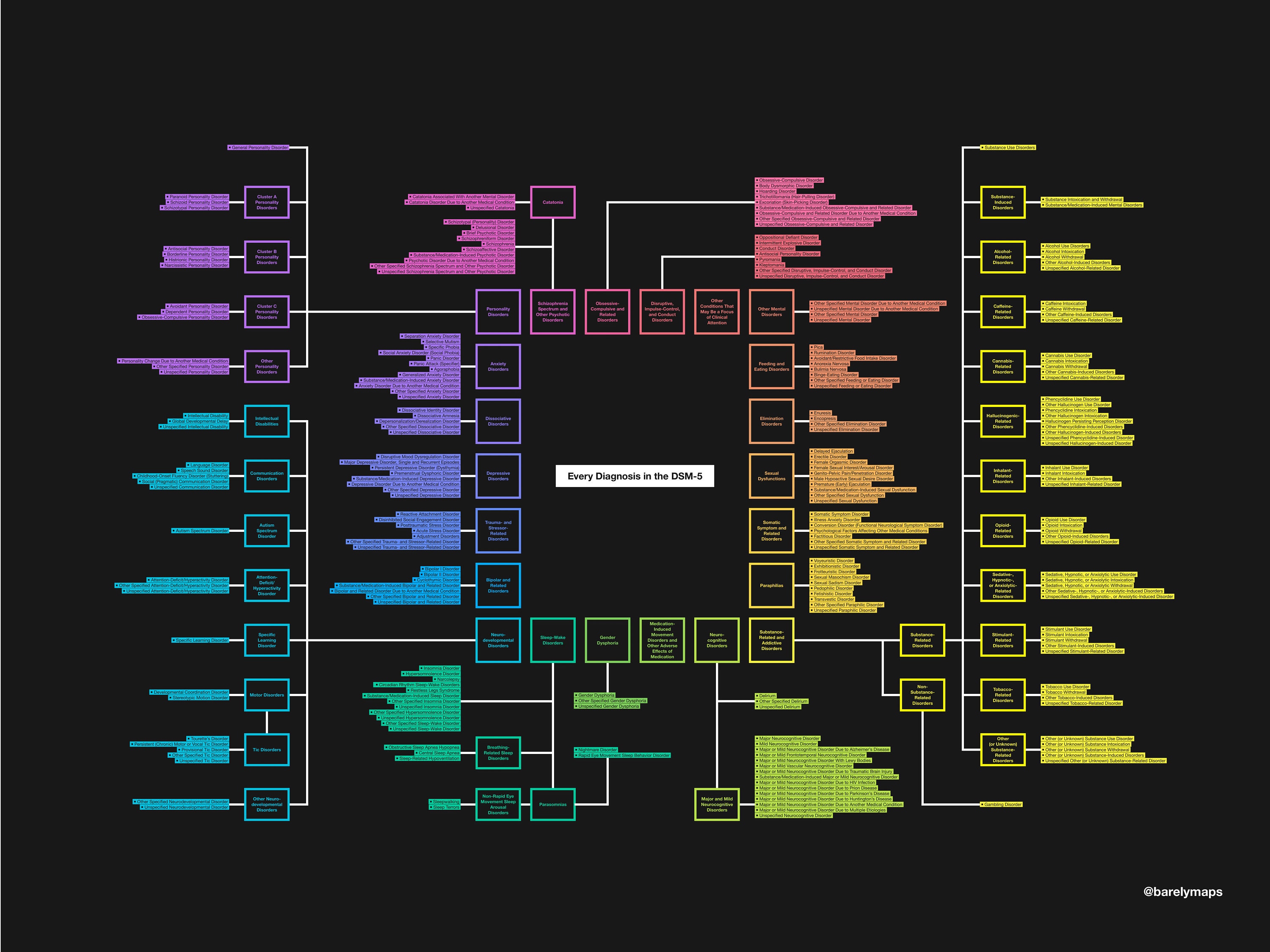 Every Diagnosis in the DSM-5 (Poster)