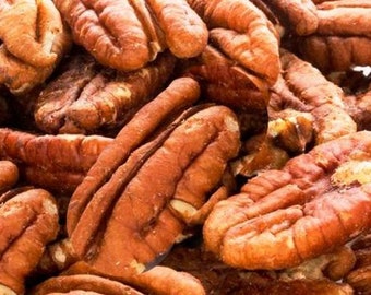 Raw Texas Pecans--1 lb. of Unsalted Texas Pecans, Gluten Free & Vegan Nuts. MADE IN TEXAS Father's Day Gifts!