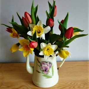 Könnte beinhalten: Ein Strauß gelber Narzissen und roter Tulpen, die in einem weißen Emaille-Krug mit Blumenmuster arrangiert sind.