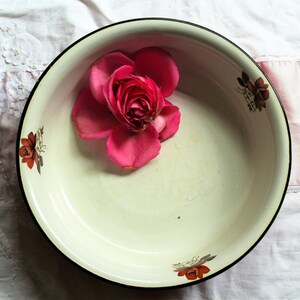 Vintage Shabby Chic Large Enaml Bowl with Roses