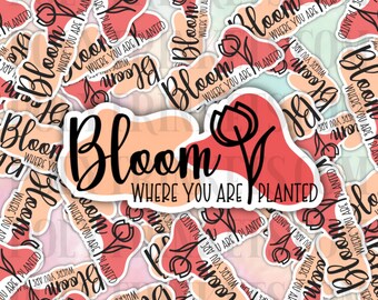 Bloom Where You Are Planted Sticker Inspiration Flower Peach Pink Purple Splotches