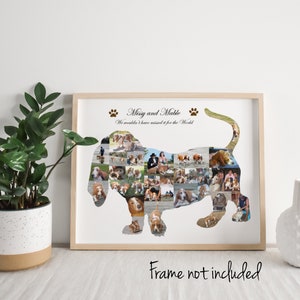 May include: A framed collage of photos of a basset hound dog, arranged in the shape of a basset hound. The text "Missy and Mable We couldn't have asked for the world" is printed above the collage.