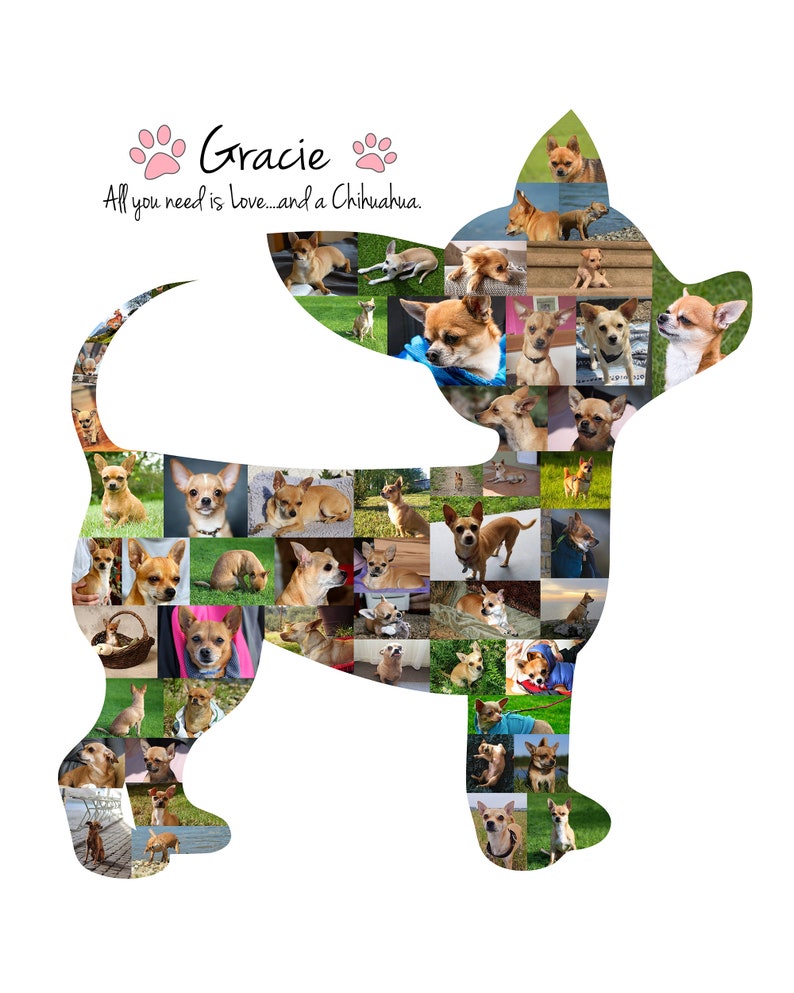 Chihuahua Photo Collage, Dog Mom Gift, Dog Memorial Gift Custom Made with your Digital Pictures image 6