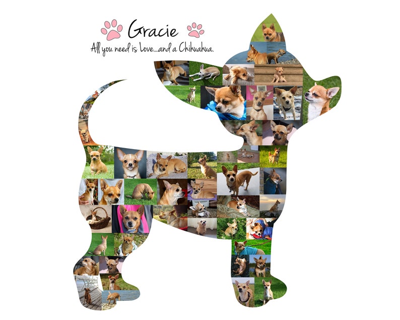 Chihuahua Photo Collage, Dog Mom Gift, Dog Memorial Gift Custom Made with your Digital Pictures image 7