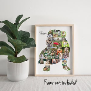 English Bulldog Photo Collage, Personalized Pet Memorial Gift, Custom Made Dog Tribute Gift!