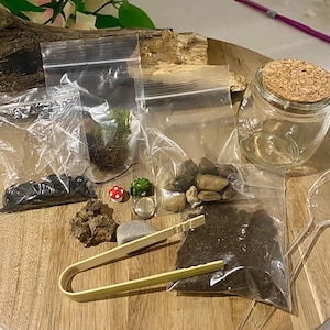 DIY Mini Terrarium Kit for Kids & Adults, Create Your Own Moss Terrarium w/ Live Moss, Glass Jar, and Figurines - Fun Craft Kit / Gift Idea