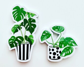 Monstera Clear Stickers