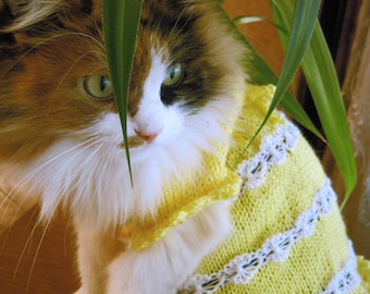 Knitted cat Clothing Pet Gift Pet Dresses cat sweater wedding cat Dress for Small Dogs sphynx clothing sphynx sweater Wool cat lover gift