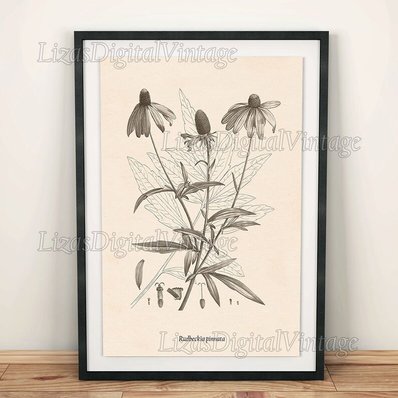 Flower Print Flower Art Printable Botanical Print Etsy