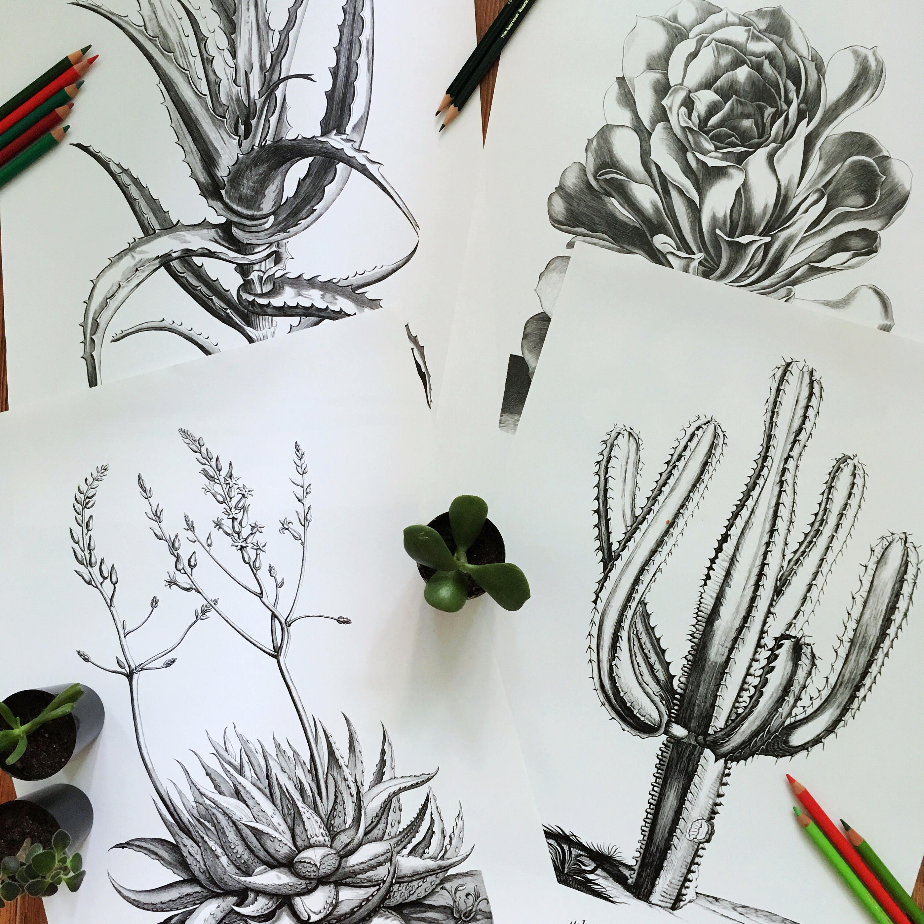 Black and White Prints Set of Prints Black and White Wall Etsy