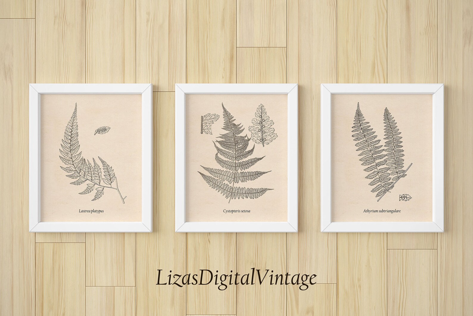 Set of 3 prints Set of 3 wall art Printable set Fern print Etsy